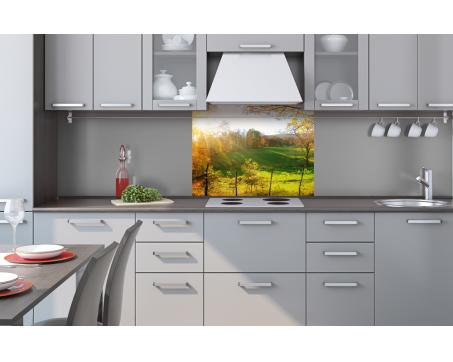 Küchenrückwand Dibond - Wiese 80 x 60 cm
