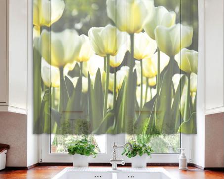 Gardinen - Weiße Tulpen 140 x 120 cm