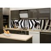 Küchenrückwand Glas - Zebra