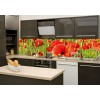 Küchenrückwand Glas - Rote Mohnblumen