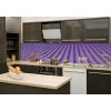 Küchenrückwand Glas - Lavendelfeld