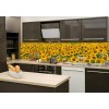 Küchenrückwand Glas - Sonnenblumenfeld