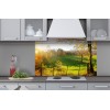 Küchenrückwand Plexiglas - Wiese 100 x 60 cm