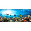 Vlies Fototapete - Fische im Ozean 375 x 150 cm 