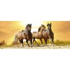 Vlies Fototapete - Pferde im Sonnenuntergang 375 x 150 cm 