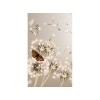 Vlies Fototapete - Löwenzahn und Schmetterling 150 x 250 cm 