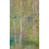 Vlies Fototapete - Blätter Abstrakt 150 x 250 cm 