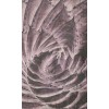 Vlies Fototapete - Kaktus Abstrakt 150 x 250 cm 