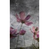 Vlies Fototapete - Violette Blumen Abstrakt 150 x 250 cm 