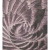 Vlies Fototapete - Kaktus Abstrakt 225 x 250 cm 