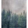 Vlies Fototapete - Wald Abstrakt 225 x 250 cm 