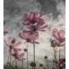 Vlies Fototapete - Violette Blumen Abstrakt 225 x 250 cm 