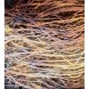 Vlies Fototapete - Heu Abstrakt l 225 x 250 cm 
