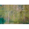 Vlies Fototapete - Blätter Abstrakt 375 x 250 cm 