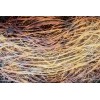 Vlies Fototapete - Heu Abstrakt l 375 x 250 cm 