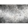 Vlies Fototapete - Ast Abstrakt 375 x 250 cm 