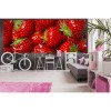 Vlies Fototapete - Erdbeere 375 x 150 cm 