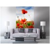 Vlies Fototapete - rote Mohnblumen 150 x 250 cm 