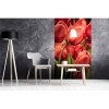 Vlies Fototapete - rote Tulpen 150 x 250 cm 