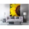 Vlies Fototapete - Sonnenblumen 150 x 250 cm 