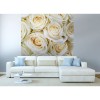 Vlies Fototapete - weiße Rosen 225 x 250 cm 