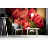 Vlies Fototapete - rote Tulpen 375 x 250 cm 