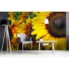 Vlies Fototapete - Sonnenblumen 375 x 250 cm 