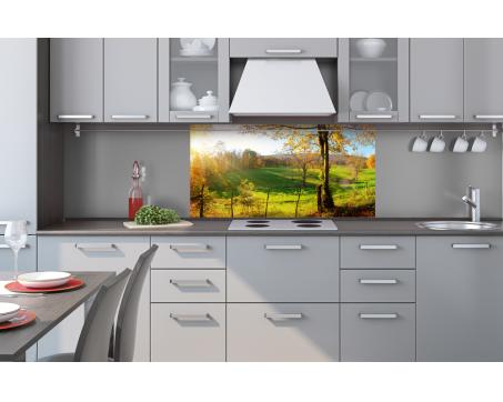 Küchenrückwand Dibond - Wiese 80 x 40 cm