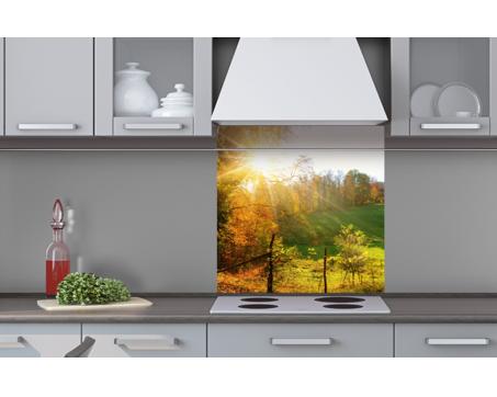 Küchenrückwand Plexiglas - Wiese 60 x 60 cm