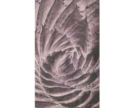 Vlies Fototapete - Kaktus Abstrakt 150 x 250 cm 