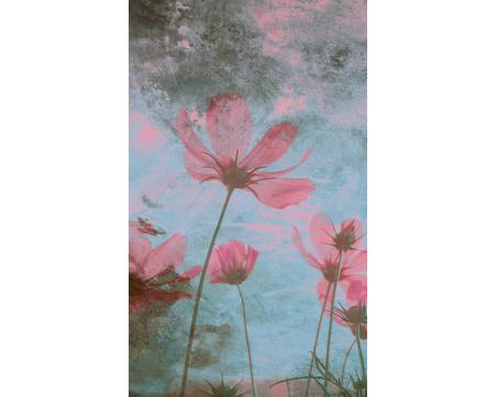 Vlies Fototapete - Pinke Blumen Abstrakt 150 x 250 cm 