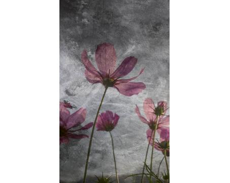 Vlies Fototapete - Violette Blumen Abstrakt 150 x 250 cm 