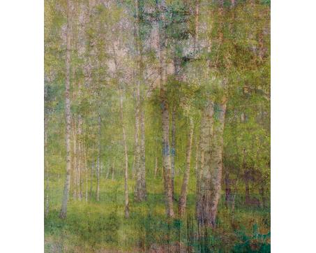 Vlies Fototapete - Blätter Abstrakt 225 x 250 cm 