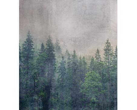 Vlies Fototapete - Wald Abstrakt 225 x 250 cm 
