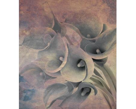 Vlies Fototapete - Blumen Abstrakt l 225 x 250 cm 