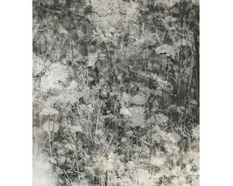 Vlies Fototapete - Naturgrau Abstrakt 225 x 250 cm 