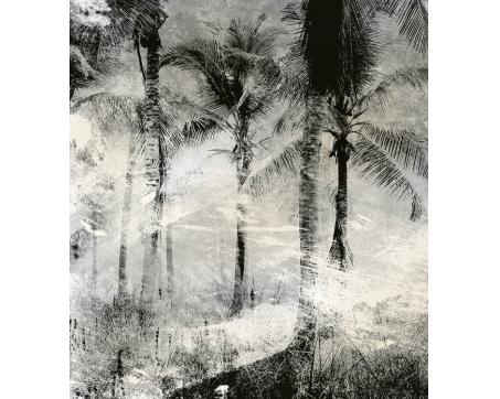 Vlies Fototapete - Palmen Abstrakt 225 x 250 cm 