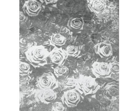 Vlies Fototapete - Rosen Abstrakt ll 225 x 250 cm 