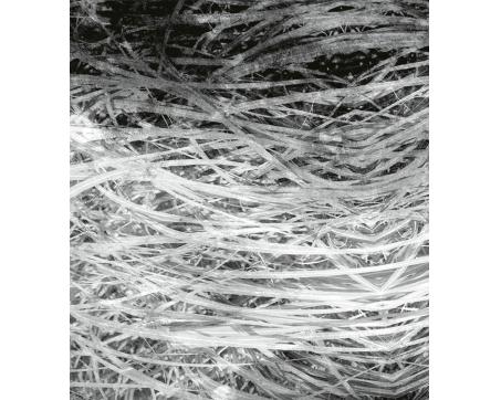 Vlies Fototapete - Heu Abstrakt ll 225 x 250 cm 