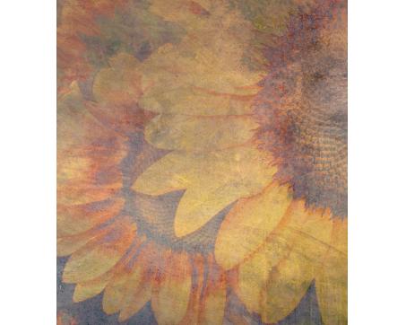 Vlies Fototapete - Sonnenblumen Abstrakt 225 x 250 cm 