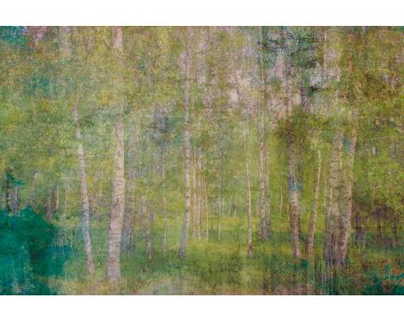 Vlies Fototapete - Blätter Abstrakt 375 x 250 cm 