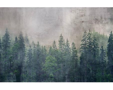 Vlies Fototapete - Wald Abstrakt 375 x 250 cm 