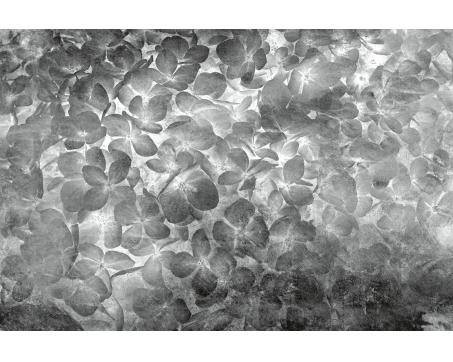 Vlies Fototapete - Apfelbaum Abstrakt ll 375 x 250 cm 