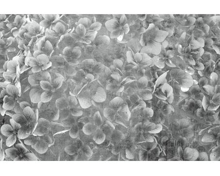 Vlies Fototapete - Apfelbaum Abstrakt lll 375 x 250 cm 