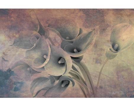 Vlies Fototapete - Blumen Abstrakt l 375 x 250 cm 
