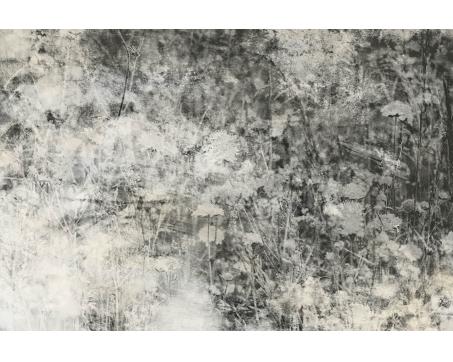 Vlies Fototapete - Naturgrau Abstrakt 375 x 250 cm 