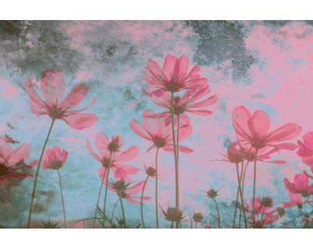 Vlies Fototapete - Pinke Blumen Abstrakt 375 x 250 cm 