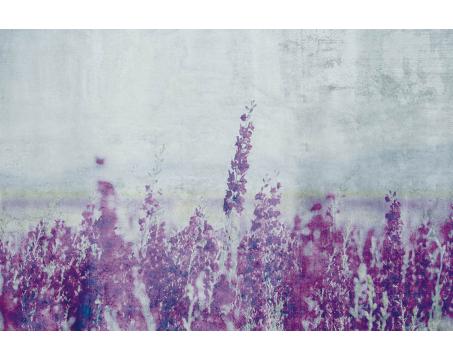 Vlies Fototapete - Lavendel Abstrakt 375 x 250 cm 