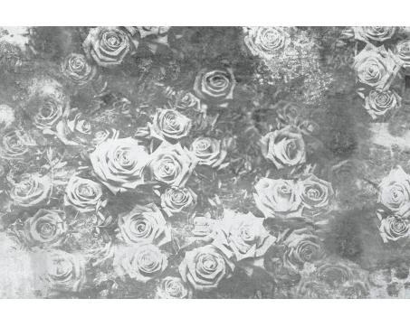Vlies Fototapete - Rosen Abstrakt ll 375 x 250 cm 