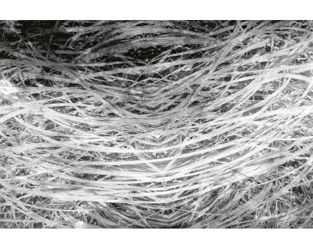 Vlies Fototapete - Heu Abstrakt ll 375 x 250 cm 